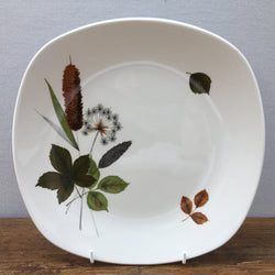 Midwinter Riverside Dinner Plate
