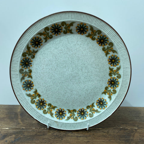 Poole Pottery Argosy Dinner Plate
