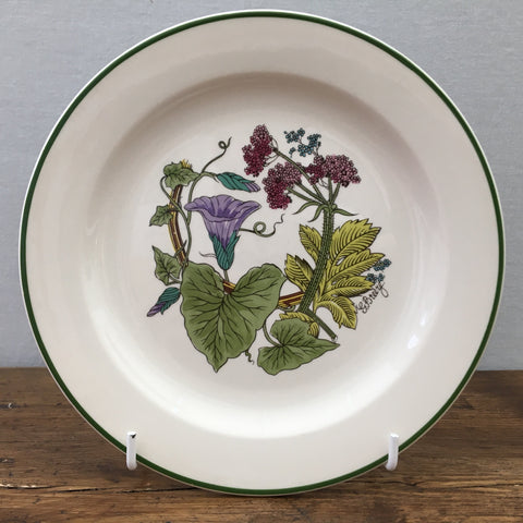 Poole Pottery „Ferndown“ Teeteller