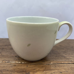 Poole Pottery Fraiche Tea Cup
