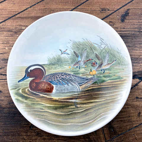 Poole Pottery Transfer Plate - John Gould - Garganey