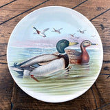 Poole Pottery Transfer Plate - John Gould - Mallard