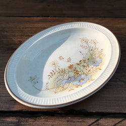 Poole Pottery Melbury Oval Sweet Plate