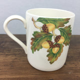 Poole Pottery Miscellaneous Mugs Acorn & Blackberry design