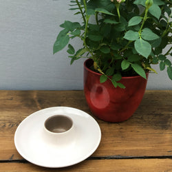 Poole Pottery Twintone Sepia & Mushroom Egg Cup with Saucer