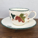 Poole Pottery New England Tea Cup & Saucer
