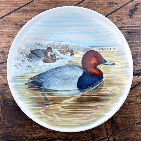 Poole Pottery Transfer Plate - John Gould - Pochard