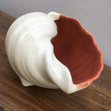 Poole Pottery Red Indian & Magnolia Winkle