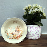 Poole Pottery Summer Glory Dessert Bowls
