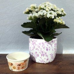 Poole Pottery Ramequin « Summer Glory »