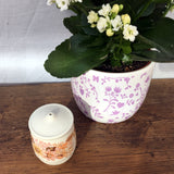 Poole Pottery Summer Glory Salt Cellar