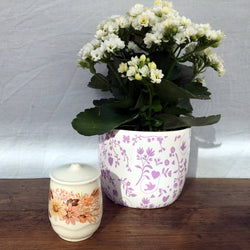 Poole Pottery Summer Glory Salt Pot