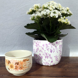 Sucrier « Summer Glory » de Poole Pottery