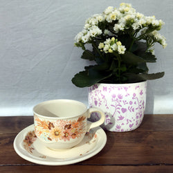 Poole Pottery Summer Glory Tea Cup