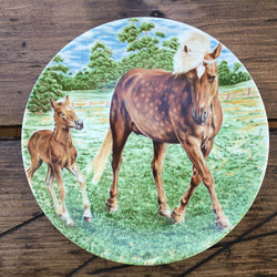 Poole Pottery Transfer Plate - Ponies - Spotted Mare & Foal