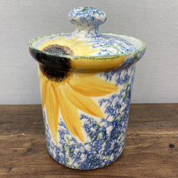 Poole Pottery Vincent Storage Jar