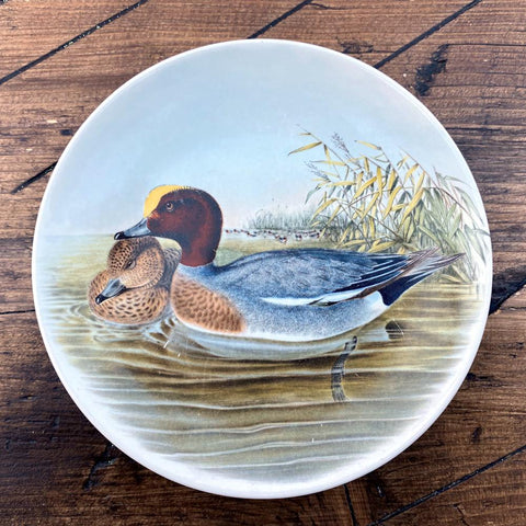Poole Pottery Transfer Plate - John Gould - Widgeon