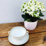 Royal Doulton Berkshire Soup Cup & Saucer