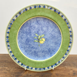 Royal Doulton Carmina Salad Plate (Lemons)