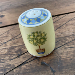 Royal Doulton Carmina Pepper Pot