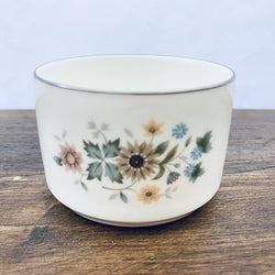 Royal Doulton Pastorale Sugar Bowl (Coffee Set)