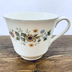 Royal Doulton Pastorale Tea Cup