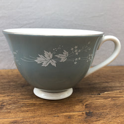 Royal Doulton Reflection Tea Cup