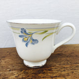 Royal Doulton "Rhapsody" Tea Cup