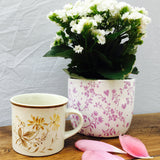 Royal Doulton Sandsprite Tea Cup