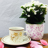 Royal Doulton Sandsprite Tea Cup & Saucer