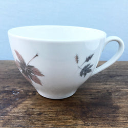 Royal Doulton Tumbling Leaves Tea Cup