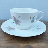 Royal Doulton Tumbling Leaves Tea Cup & Saucer