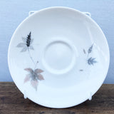 Royal Doulton Tumbling Leaves Saucers
