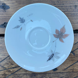 Royal Doulton Tumbling Leaves Tea/Soup Saucer (Deep)