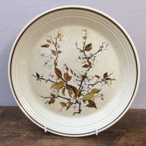 Royal Doulton Wild Cherry Salad / Breakfast Plate
