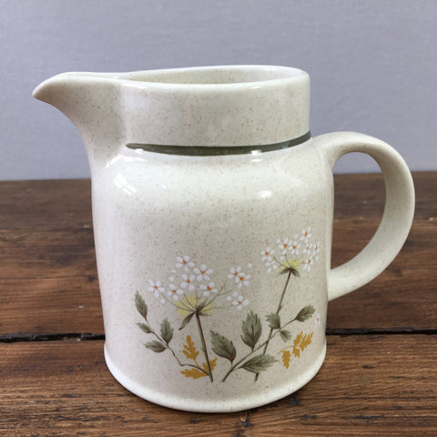 Royal Doulton Will o' the Wisp Milk Jug