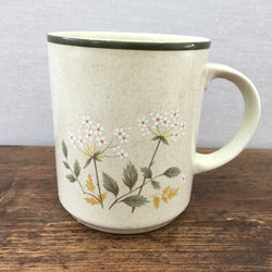 Royal Doulton Will o' the Wisp Mug