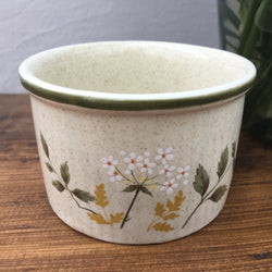 Royal Doulton Will o' the Wisp Ramekin