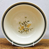 Royal Doulton Will o' the Wisp Oatmeal Bowl