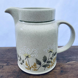 Royal Doulton Will o the Wisp Large 1.75 Pint Jug