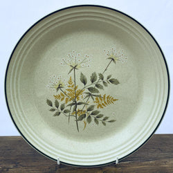 Royal Doulton Will o the Wisp Dinner Plate, Rimless