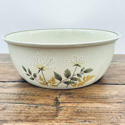 Royal Doulron Will o the Wisp Salad/Fruit Serving Bowl