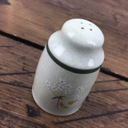 Royal Worcester Will o' the Wisp Salt Pot