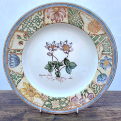 Wedgwood Garden Maze Dinner Plate (Patterned)