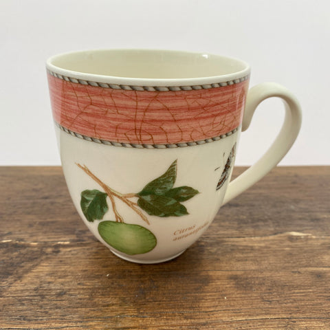 Wedgwood Sarah's Garden Terracotta Large Curve Mug