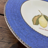 Wedgwood Sarah's Garden Rimmed Bowl, Blue