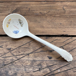 Wedgwood Sarah's Garden Blue & Green Soup Ladle