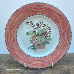 Wedgwood Sarah's Garden Terracotta Starter/Dessert Plate