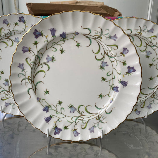 Spode &quot;Canterbury&quot;
