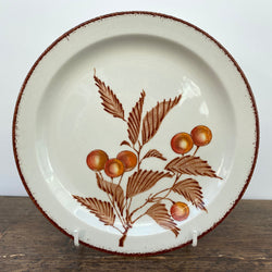 Midwinter Wild Oats Starter/Dessert Plate